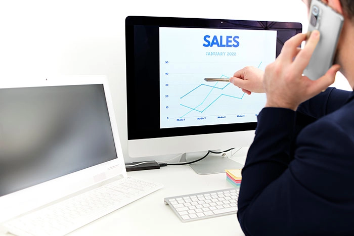 Diversificação de Receitas e Canais de Venda: O Caminho para um Crescimento Sustentável